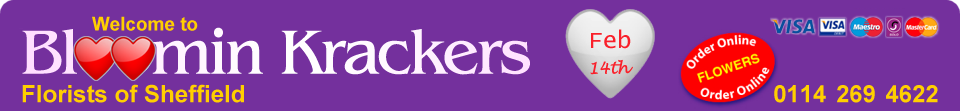 Bloomin Krackers Florist Sheffield - Valentines Day Flowers