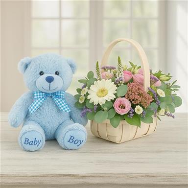 Teddy Bear Baby Boy Basket Gifts Buy Our Deluxe Welcome Home Baby