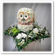 Barn Owl Tribute