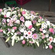 Coffin Top Pinks and Whites