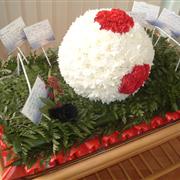Football on Pitch Tribute