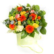 Citrus Gift box