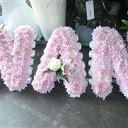 NAN in pink