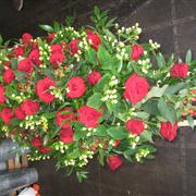 Red Rose Coffin Spray