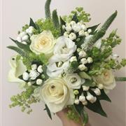 Bridal Sensation