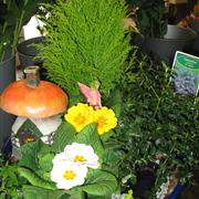 Outdoor planter