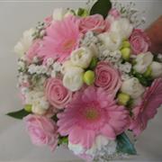 White and Pink Gerbra Handtied