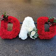 DAD CARNATION TRIBUTE