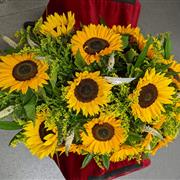 Ray of Sunshine Coffin Spray